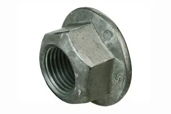 Nut